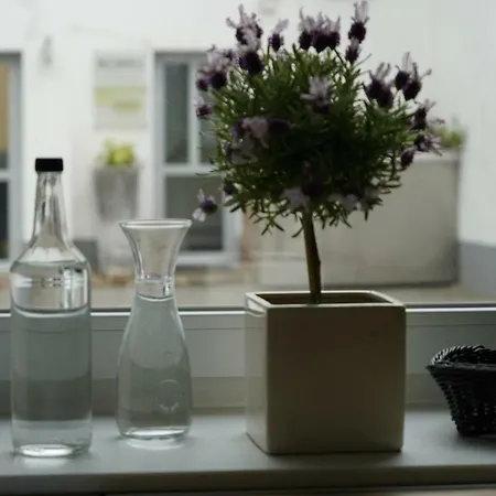 Altstadtwohnung Mit Eigenem Hauseingang